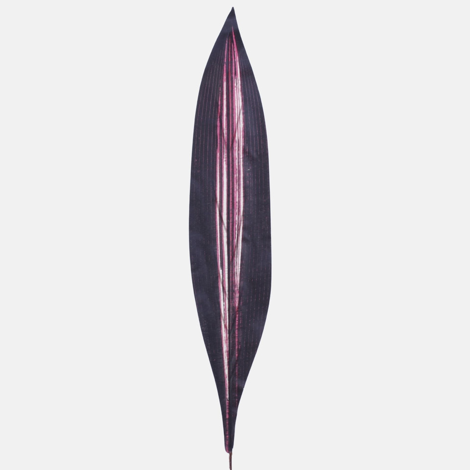Liść draceny, Red H011C-02