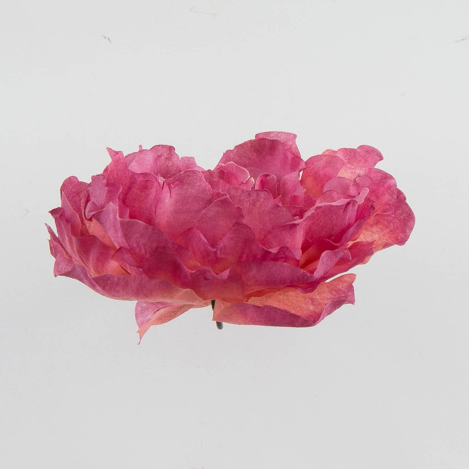 Peonia – główka 9pł., autumn tt. mauve W150-078