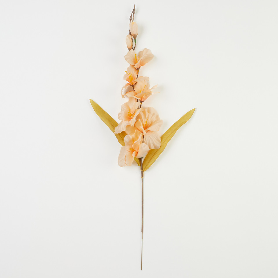 Mieczyk, Peach B184-59
