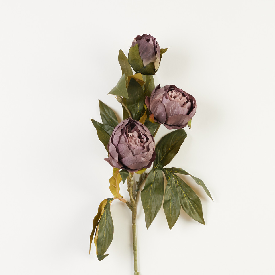 Peonia – gałązka x3, 20 B38-20