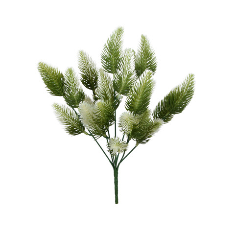 Pine x 7 R658