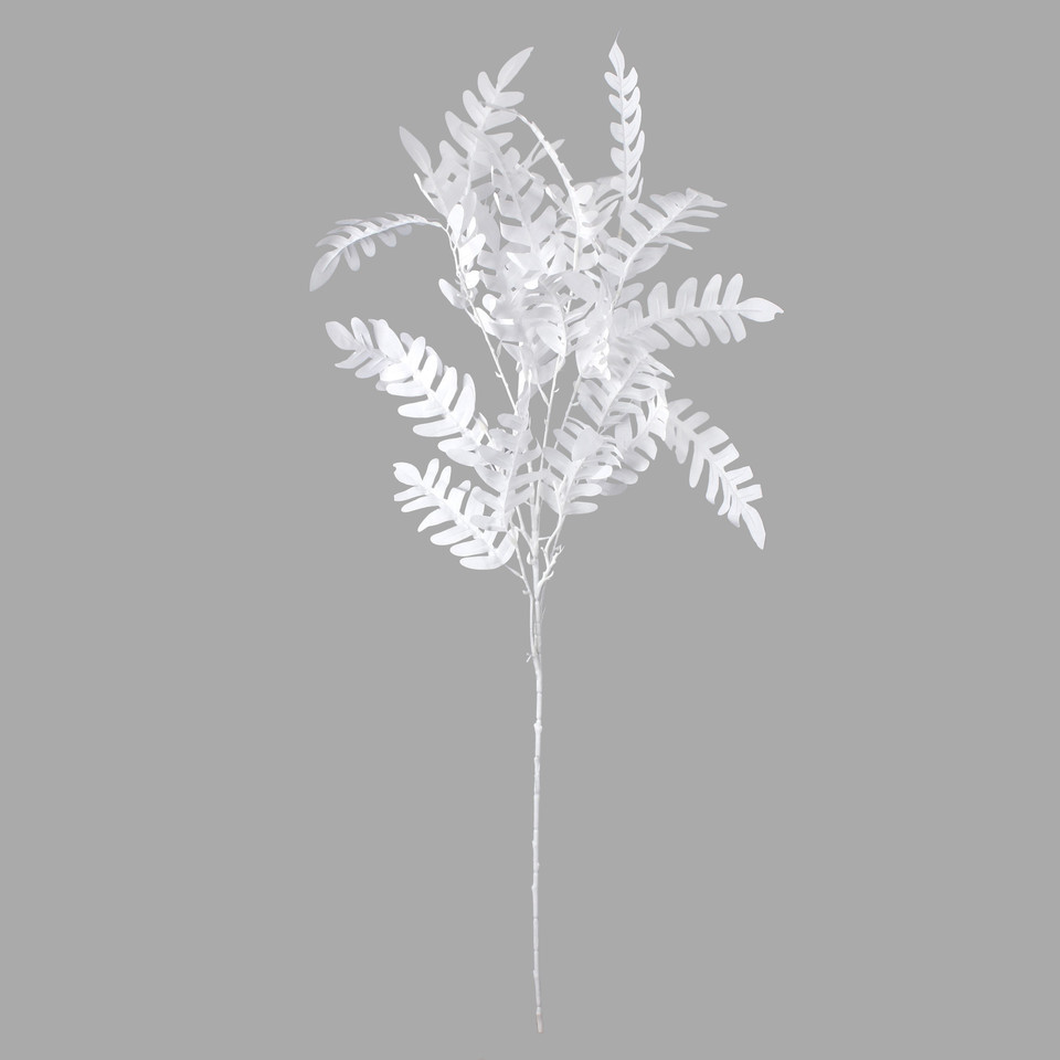 Akacja, White F136-01
