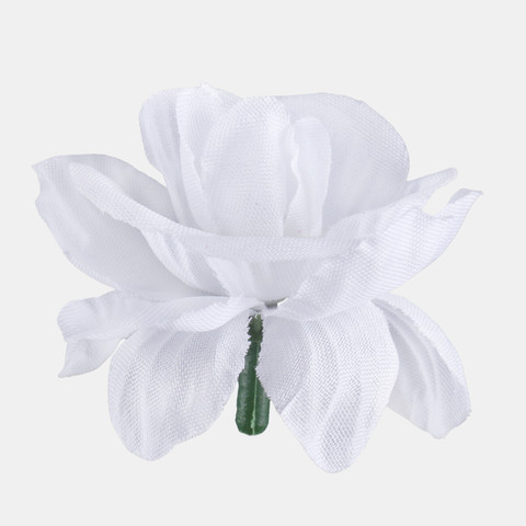 Rose, Pure White W303-01