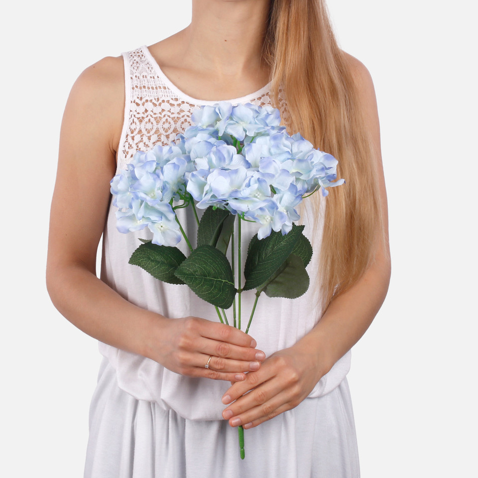 Hydrangea x 5 QA129