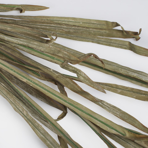 A bunch of artificial autumn grass, Mix 1 A761Y-01
