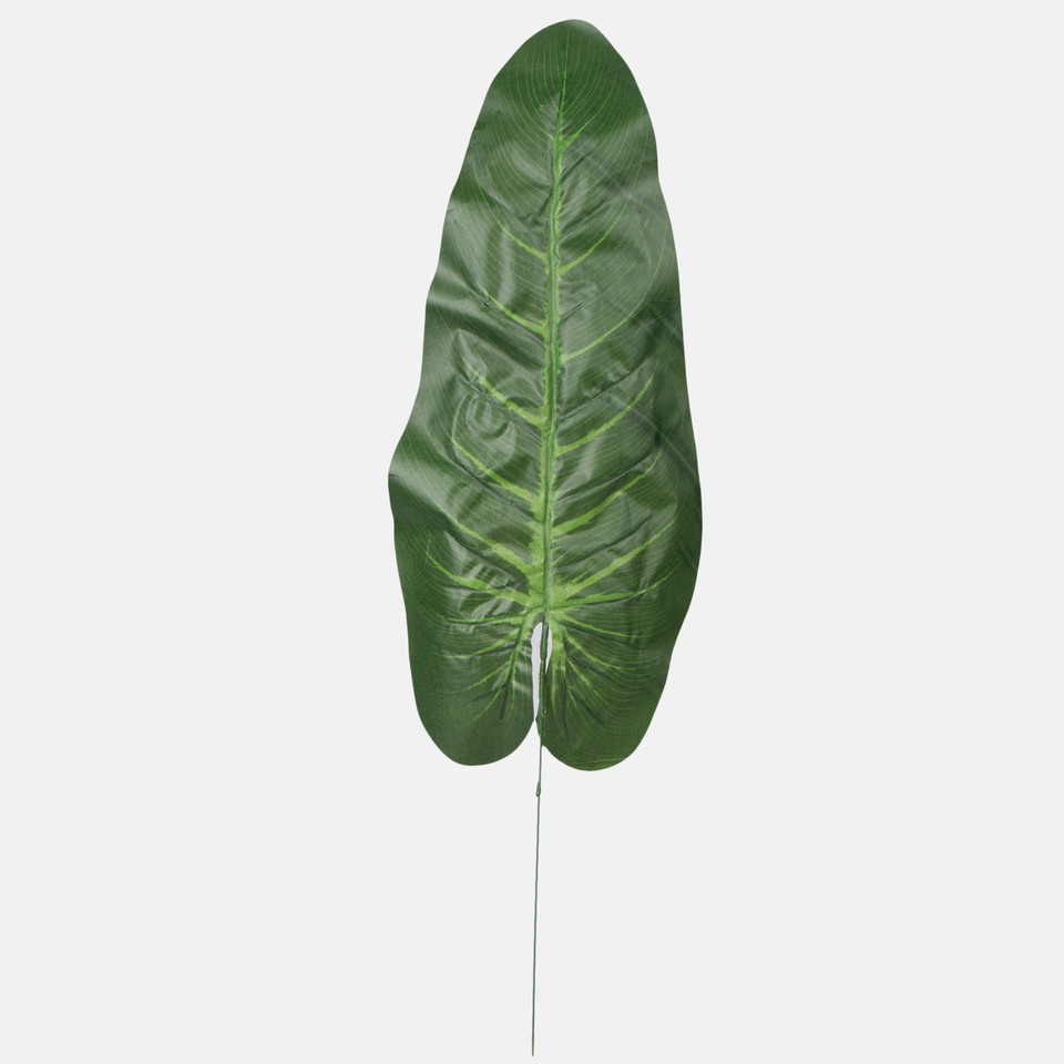 Anthurium leaf, Green A163