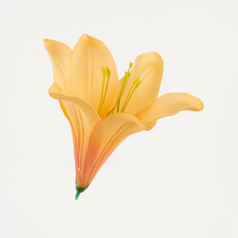 Lilia – główka satyna, orange B276-040