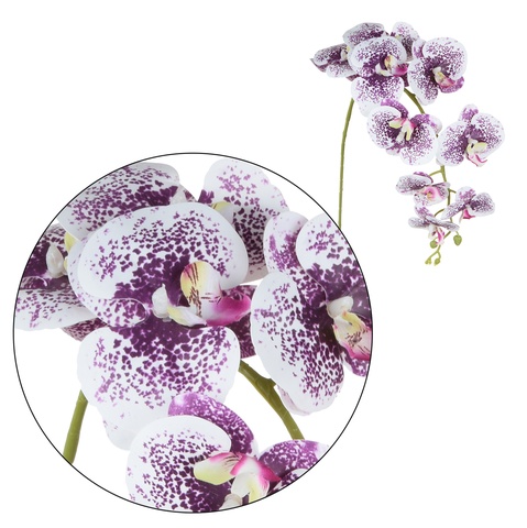 Storczyk - gałązka gumowana 102 cm, cream violet dot GK560-08