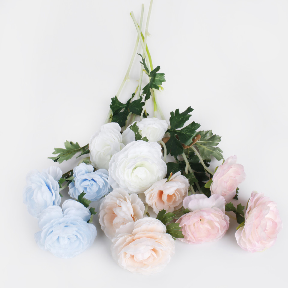 Kamelia x 3, Mix 1 L823-01