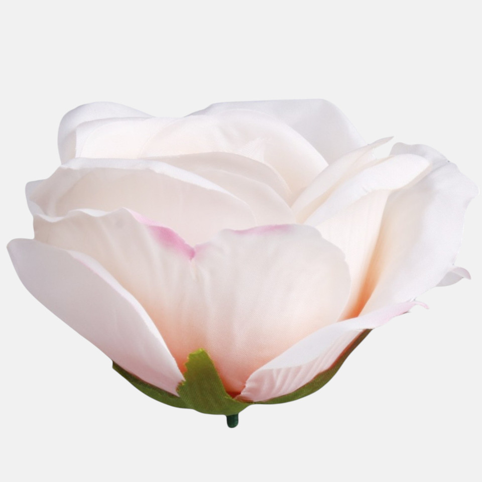 Róża, Lt. Peach/Pink Edge W005-21