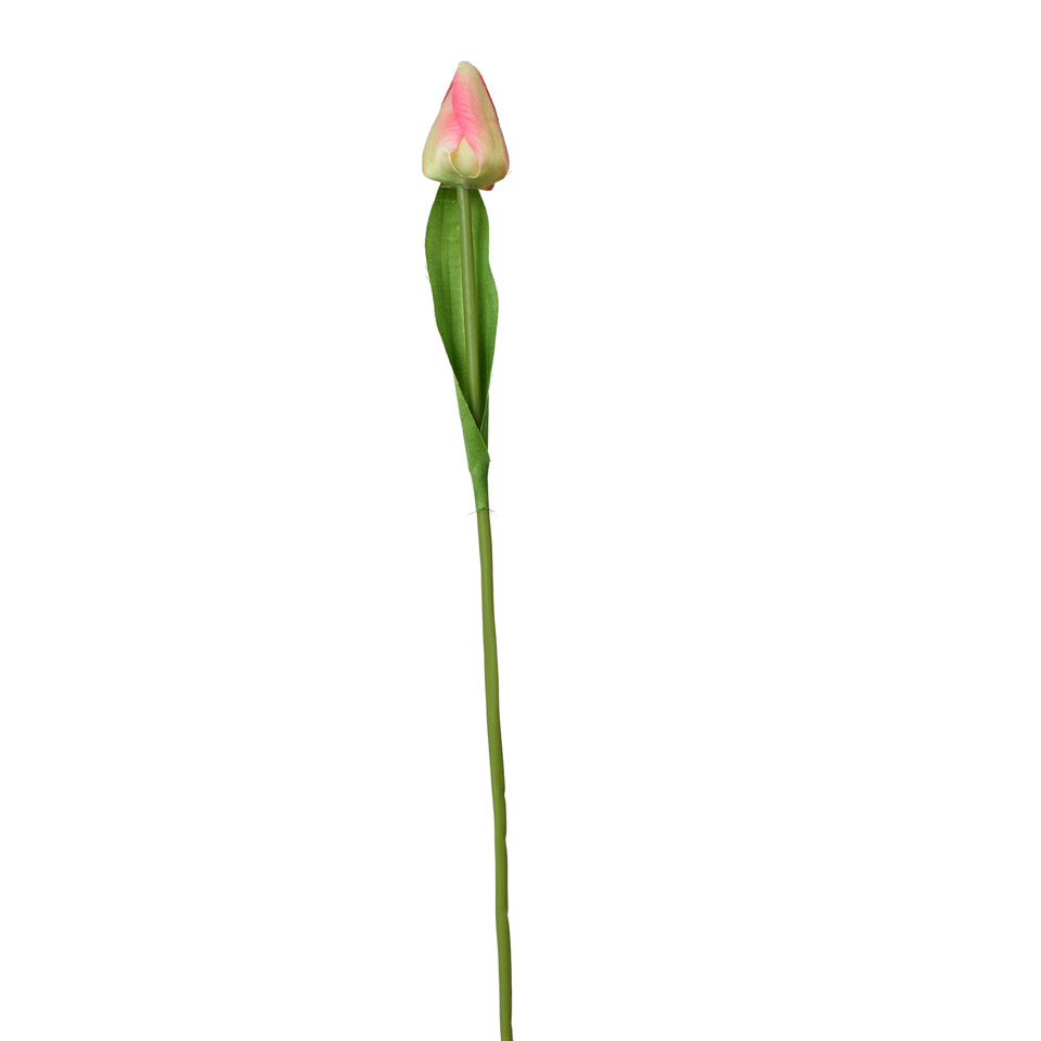 Tulipan - gałązka 44 cm, m K375-m