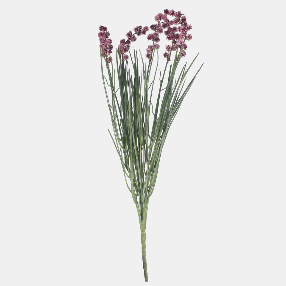 Grass with thistle, Dk. Pink A716-03