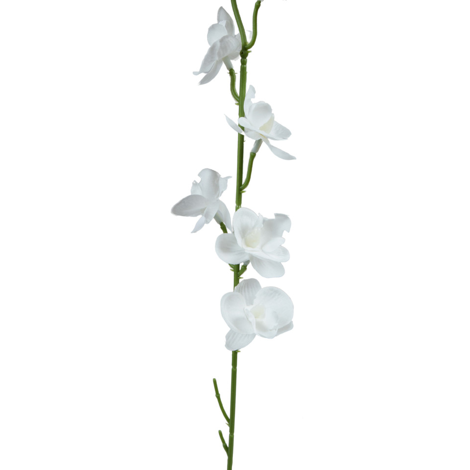 Storczyk Mini - gałązka 52 cm, m K607-m