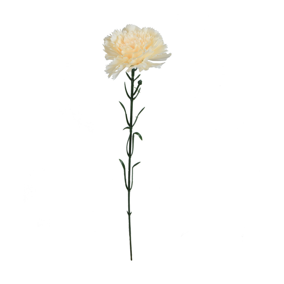Goździk - gałązka 54 cm, m2 GK148-m2