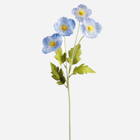 Anemone x 4, Lt. Blue G508-06