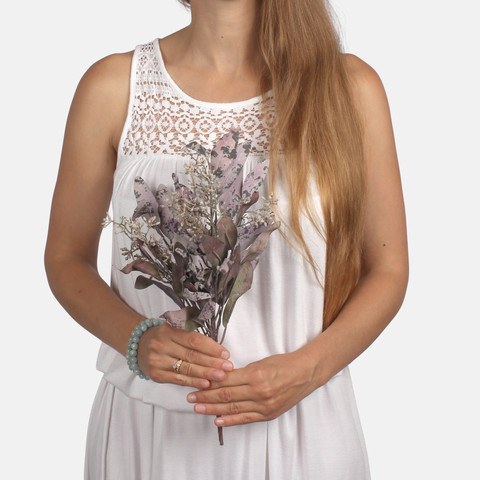 Cotinus A772 (Product size)