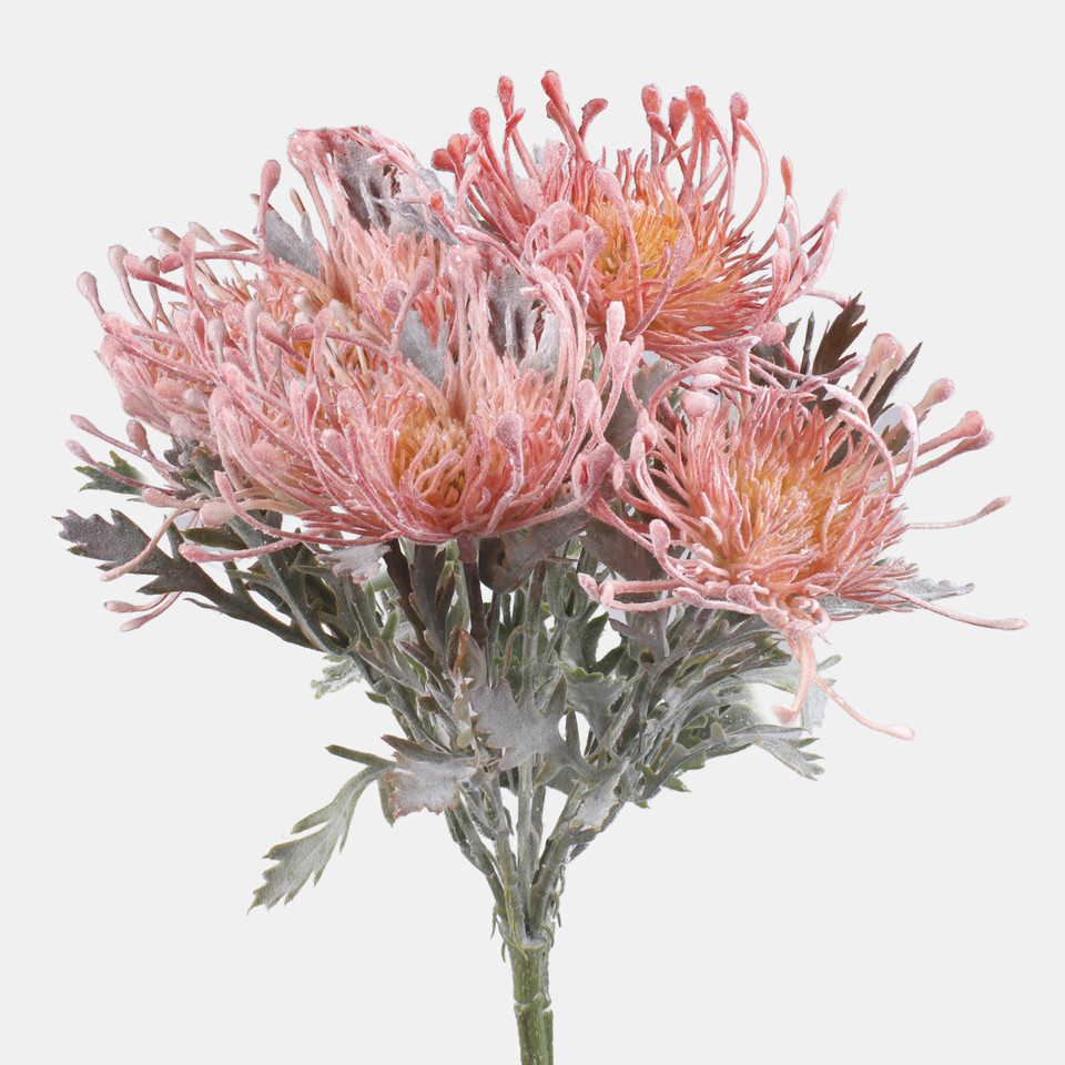 Protea x 5, Lt. Pink QA200-02