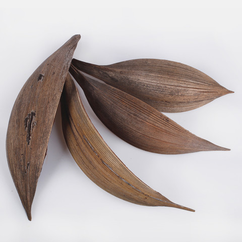 Coco shell 250 g Y044