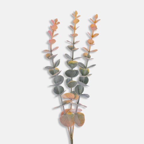 Eucalyptus, Orange/Green A666K-03