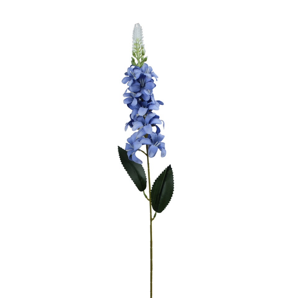 Delfinium Ostróżka – gałązka 75 cm, m2 K649-m2