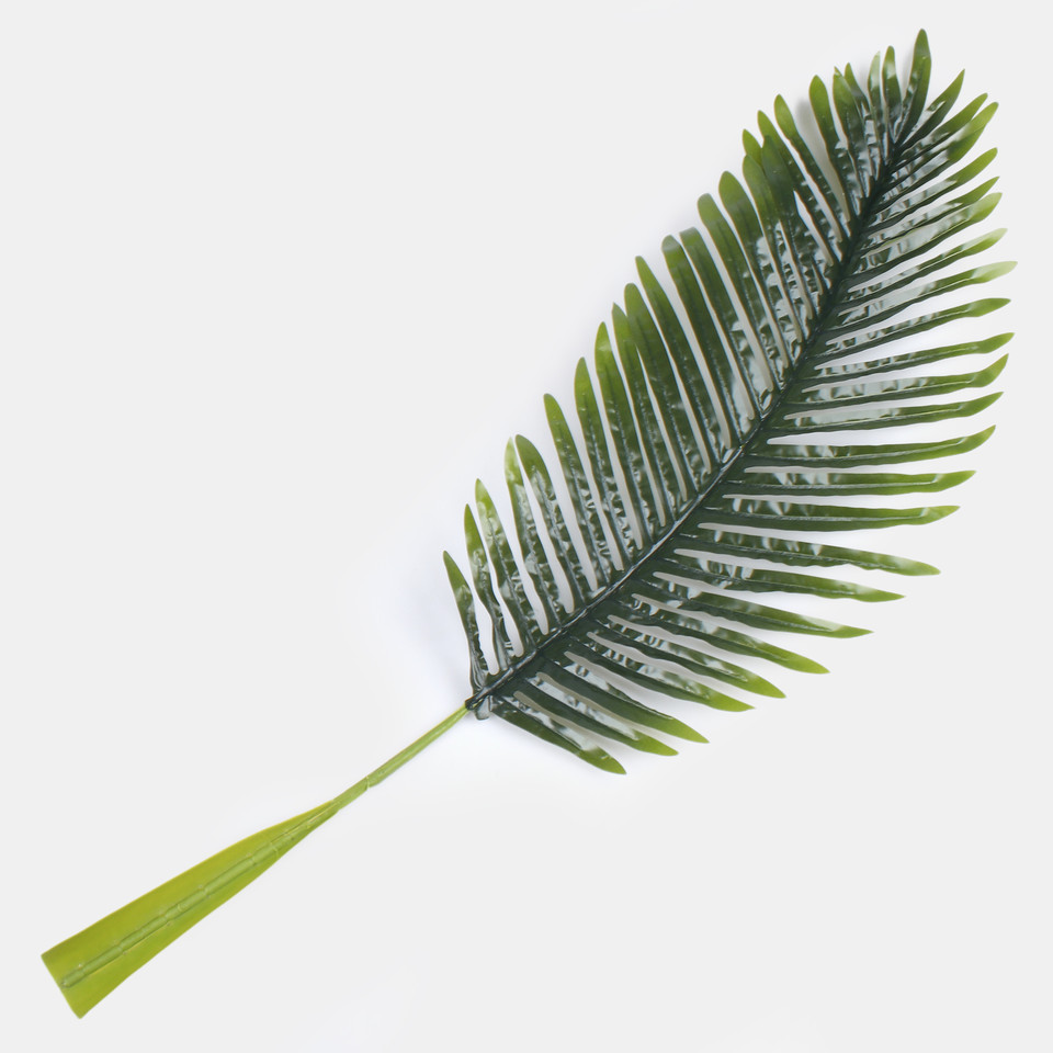 Liść palmy, Green F118