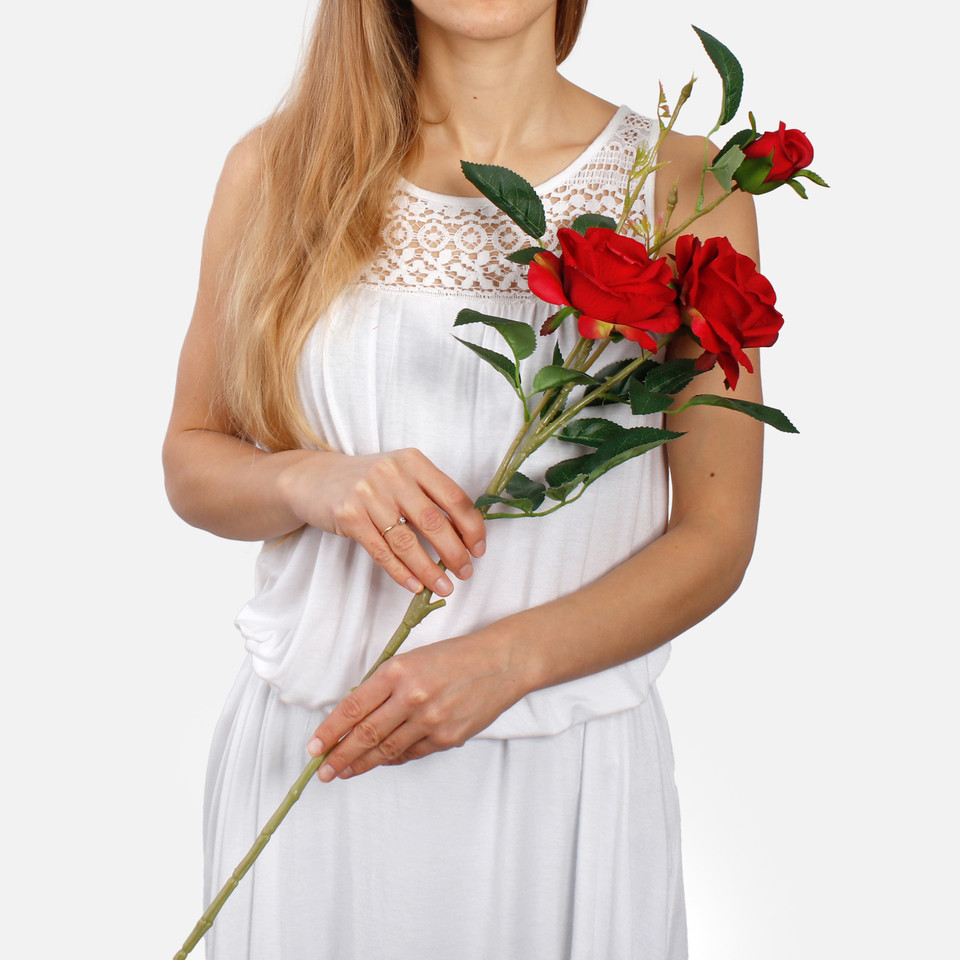 Róża x 3 L789