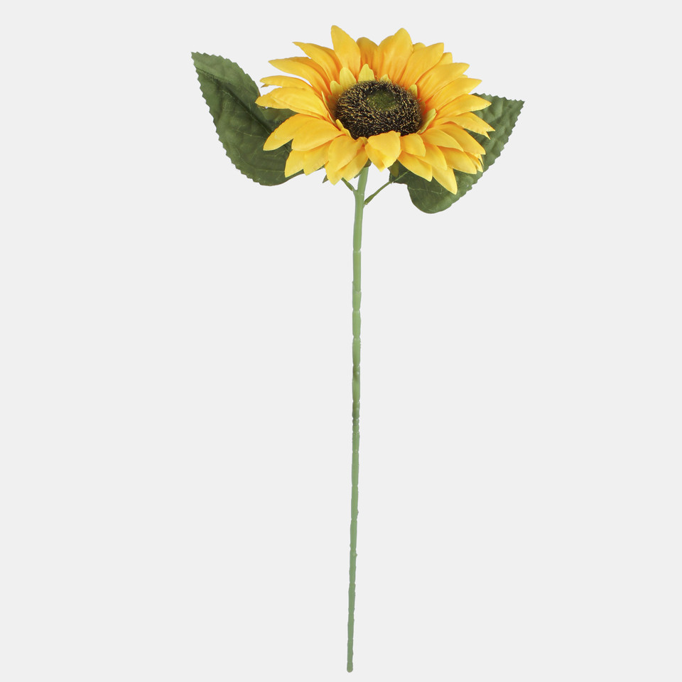 Sunflower, T.T. Yellow L773-01