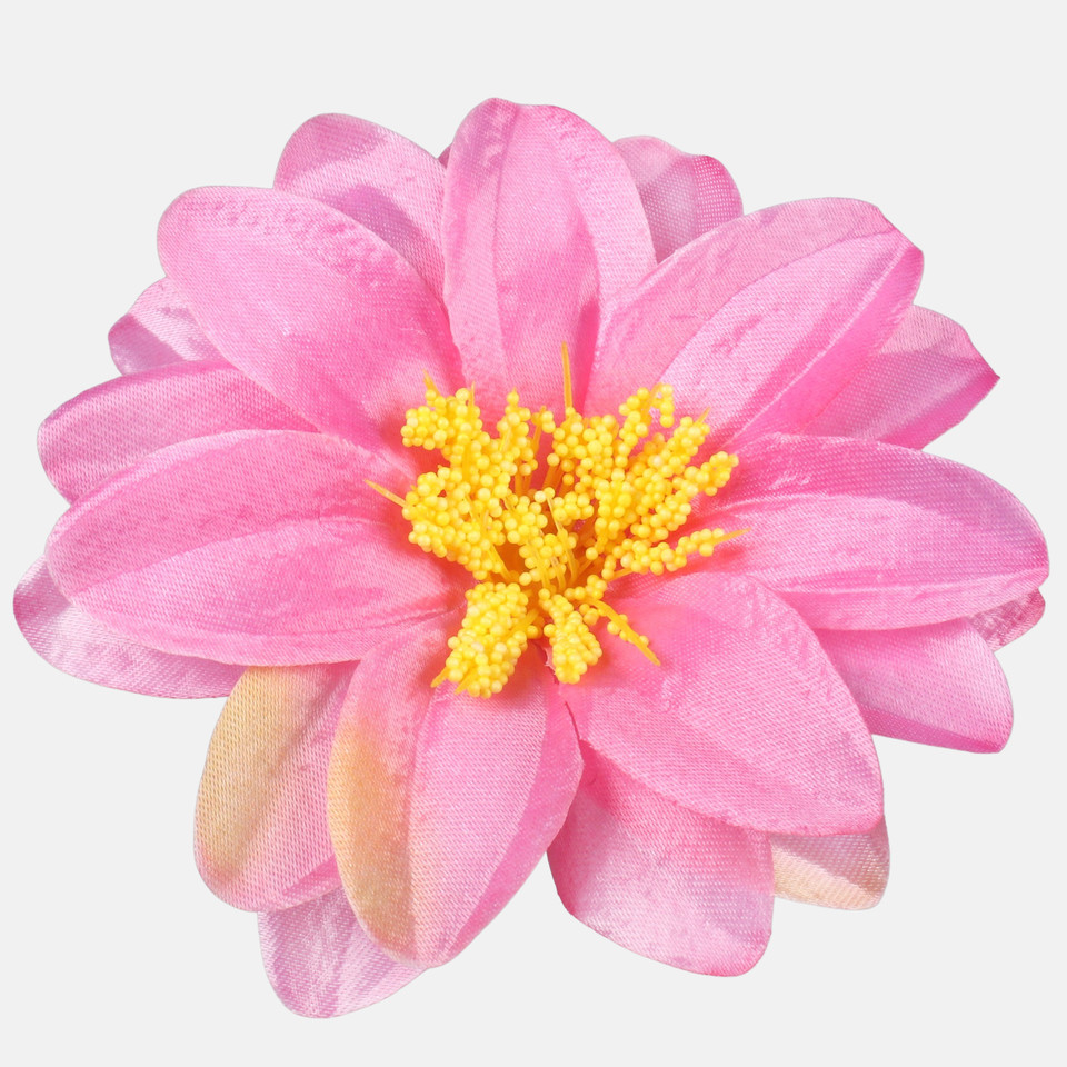 Satin dahlia, T.T. Pink W624-05