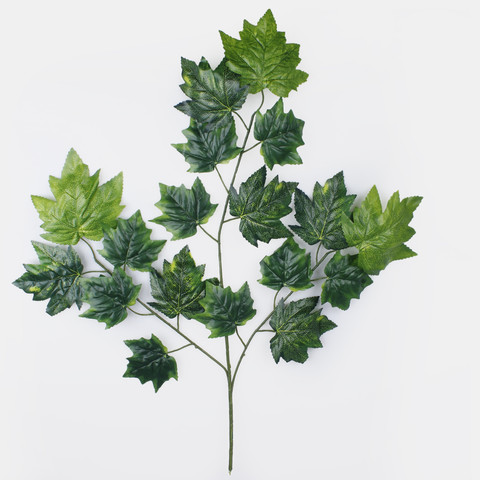 Maple F026