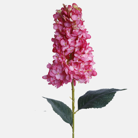 Hydrangea, Pink BGK345-05