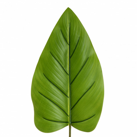 Filodendron – liść gumowany 93 cm L044