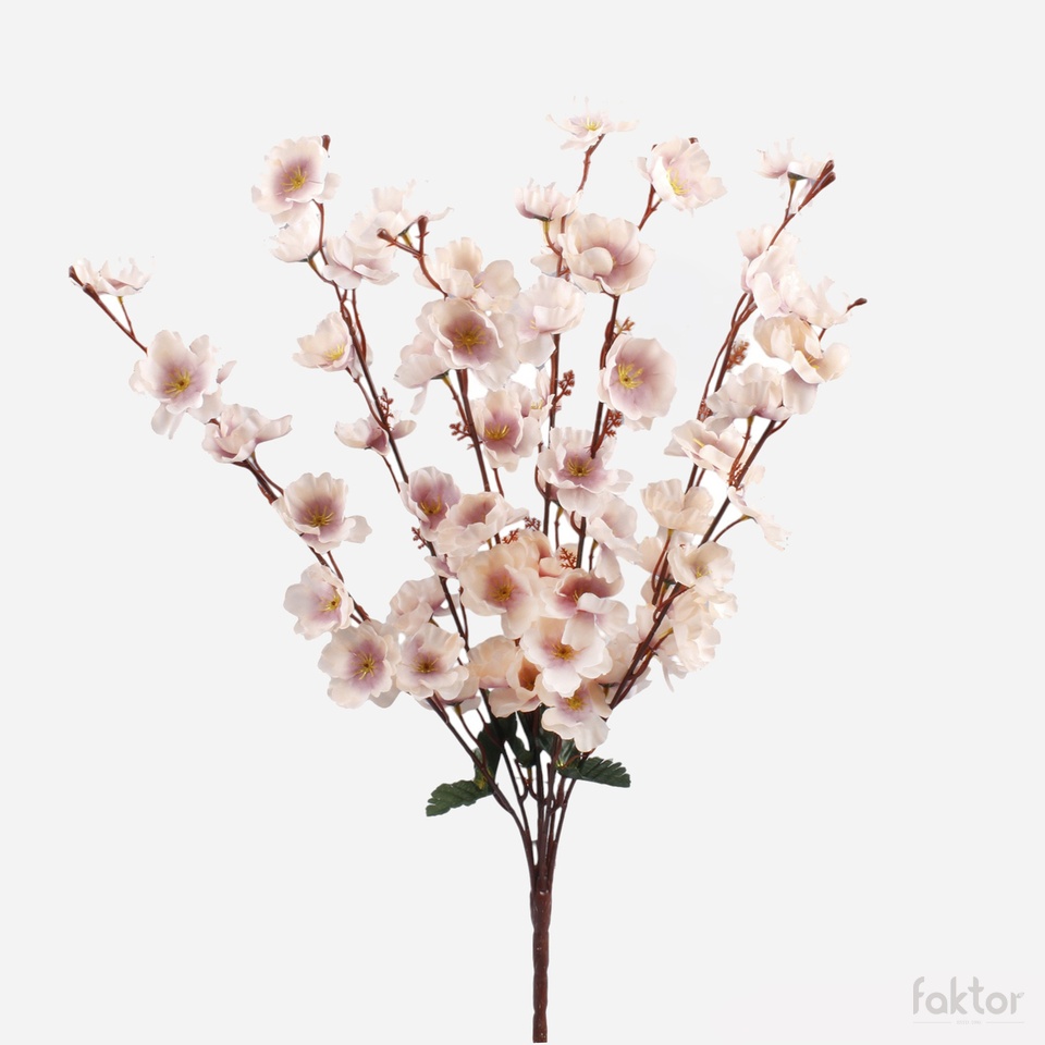 Jabłoń x 7, Peach/Mauve Q208-02
