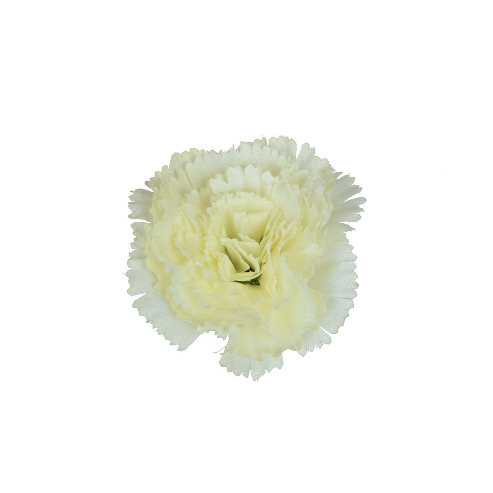 Goździk, Cream W098-18