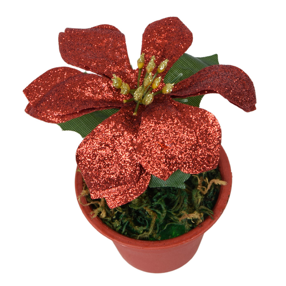 Poinsecja w doniczce 15 cm, white, silver, red, gold X313-00
