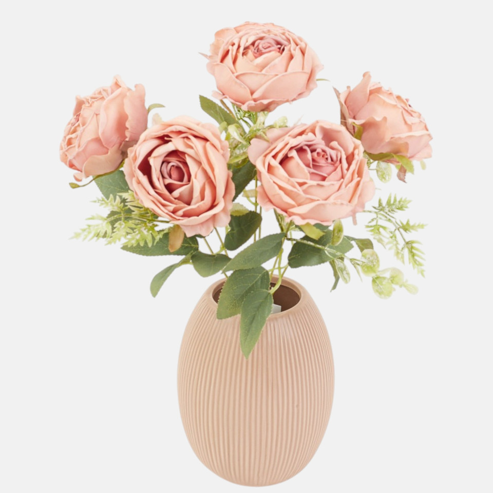 Róża, Peach UN32-01