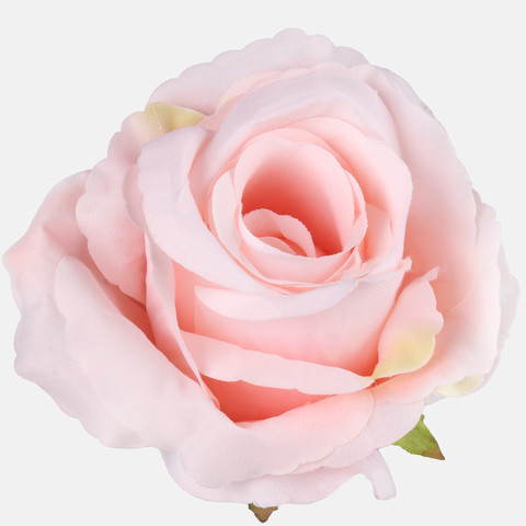 Rose, Lt. Pink W697-18