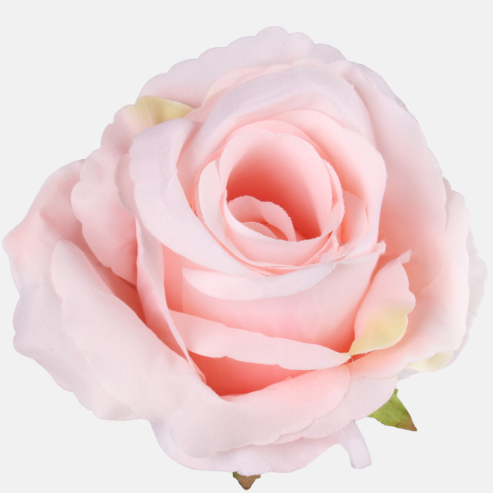 Rose, Lt. Pink W697-18