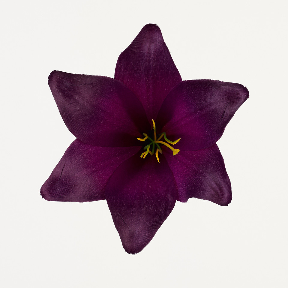 Lilia – główka satyna, purple B276-015