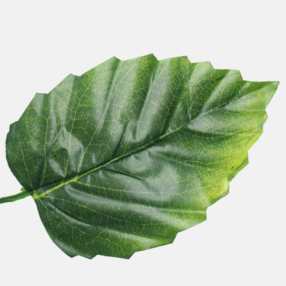 Alder, T.T. Green F212-01