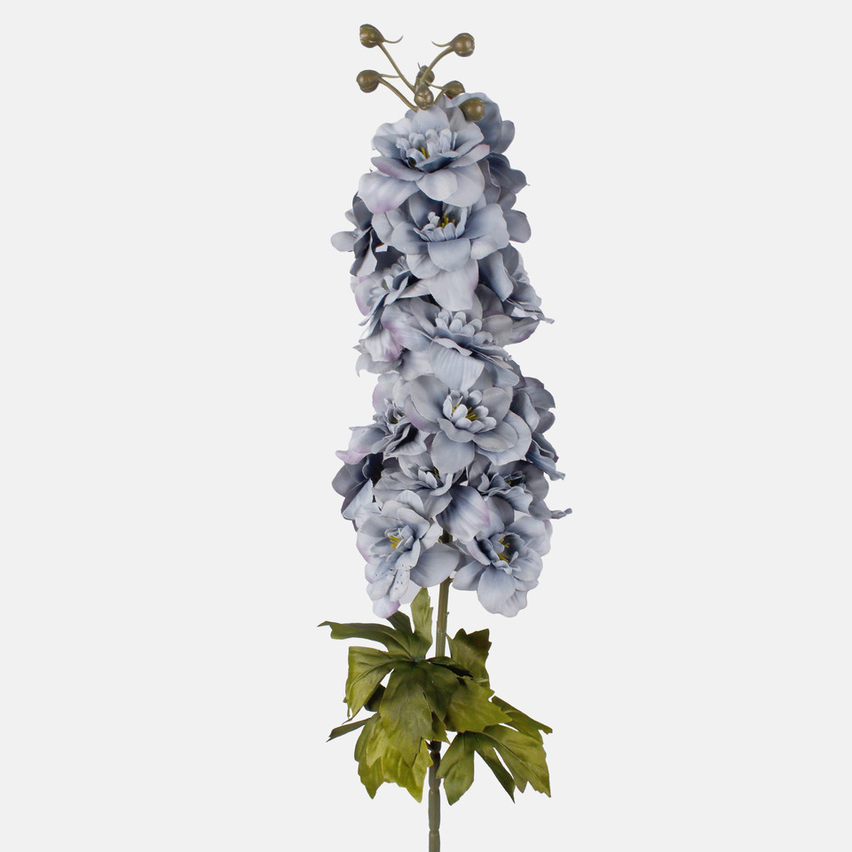 Ostróżka, Autumn Blue L181K-02