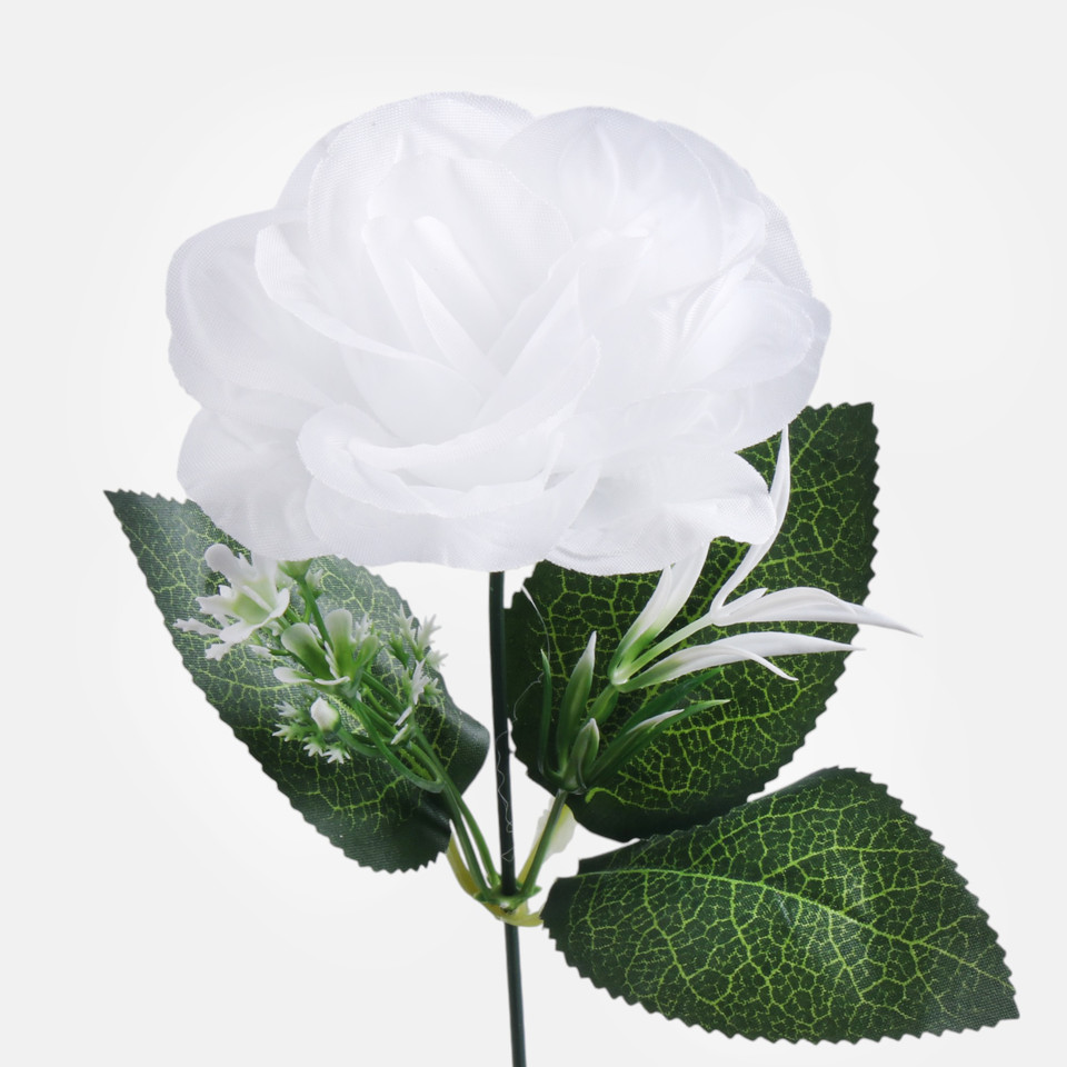 Róża, Pure White G435-05