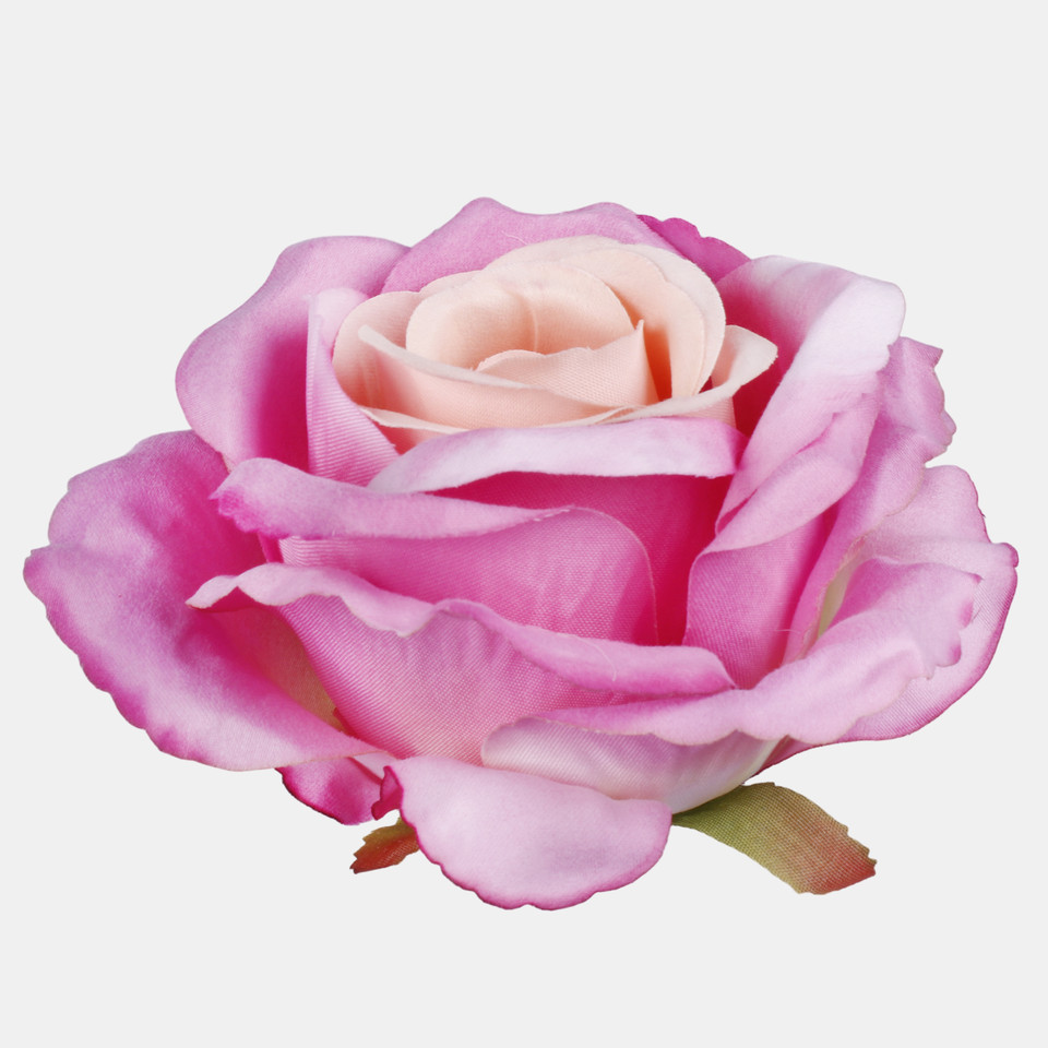 Rose, Peach/Mauve W697-07