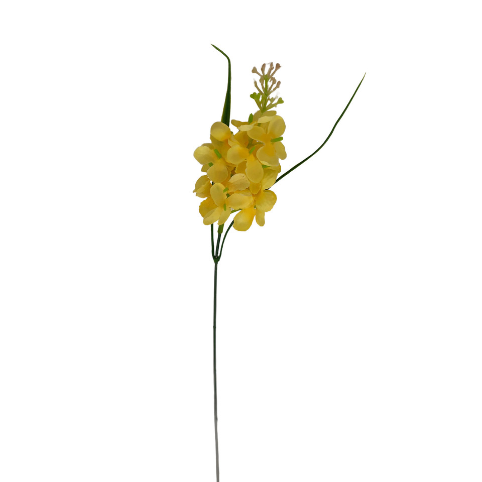 Hiacynt - pik 36 cm, m DK077E-m