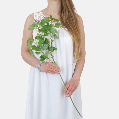 Ginkgo, Green F115-03
