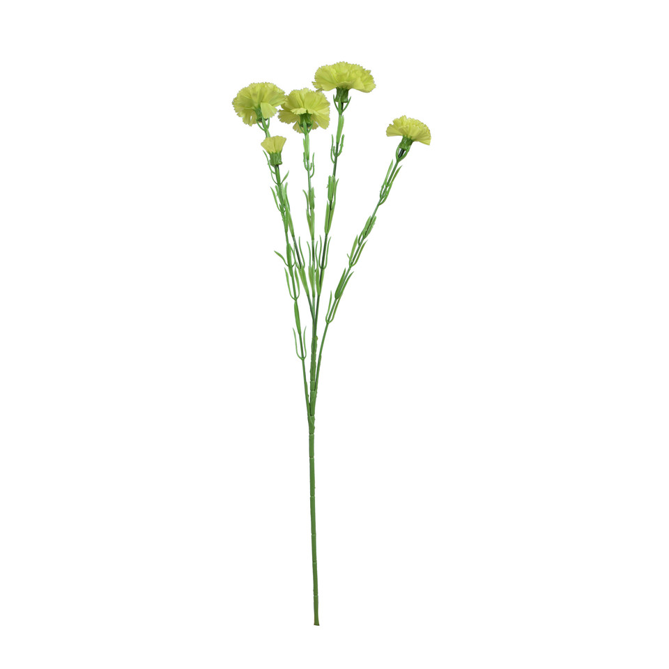 Goździk - gałązka 60 cm, m3 GK139-m3