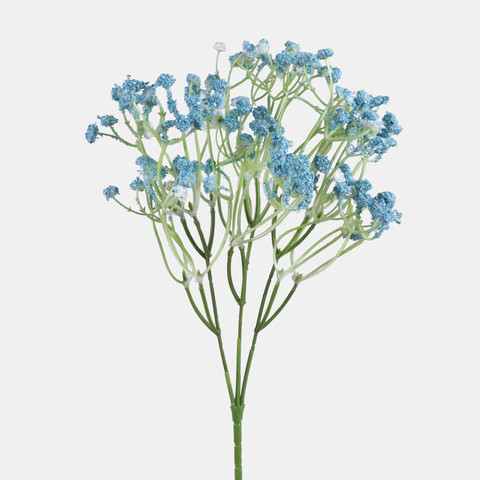 Gypsophila, Blue L856-04