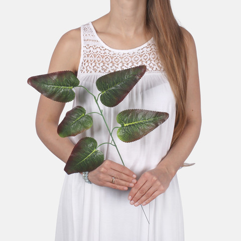 Hibiscus F165 (Product size)