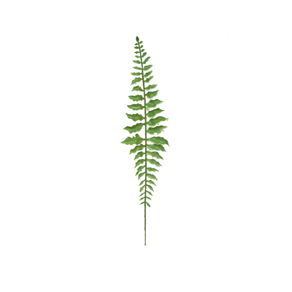 Paproć - liść 42 cm, green L607-00