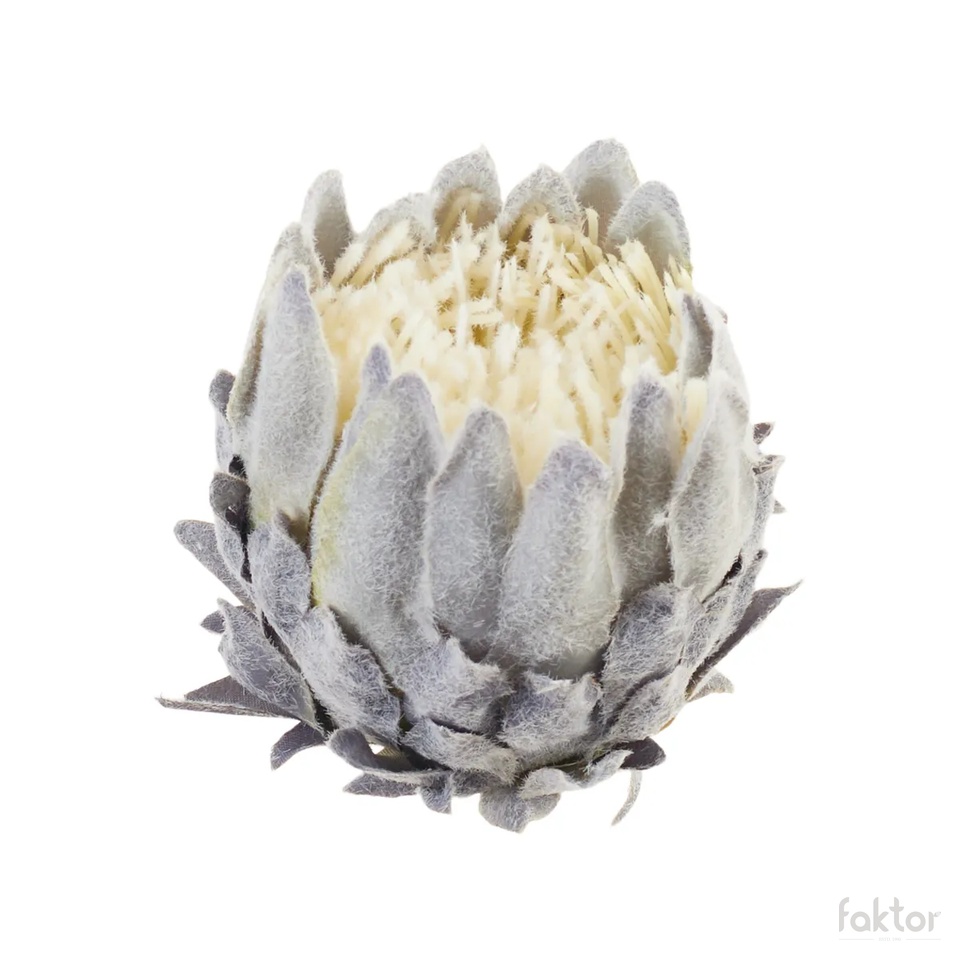 artichoke, Gray B101-06