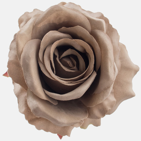 Rose, Lt. Gray/Green Edge W697-10